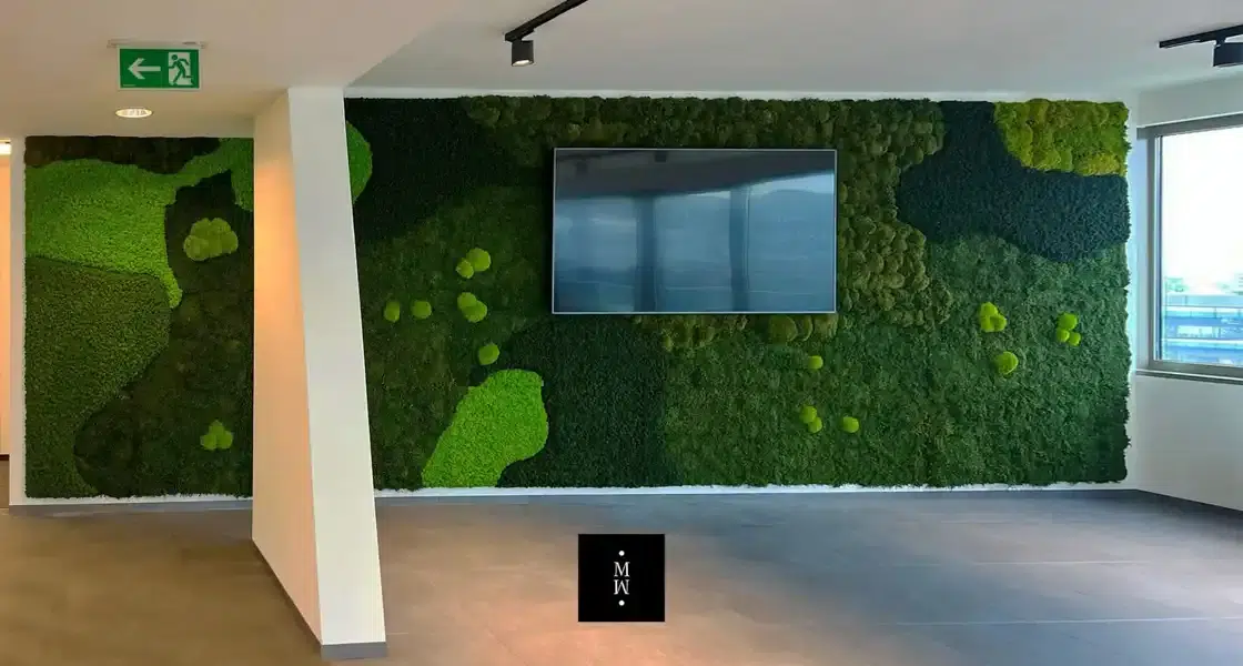 a tv on a wall