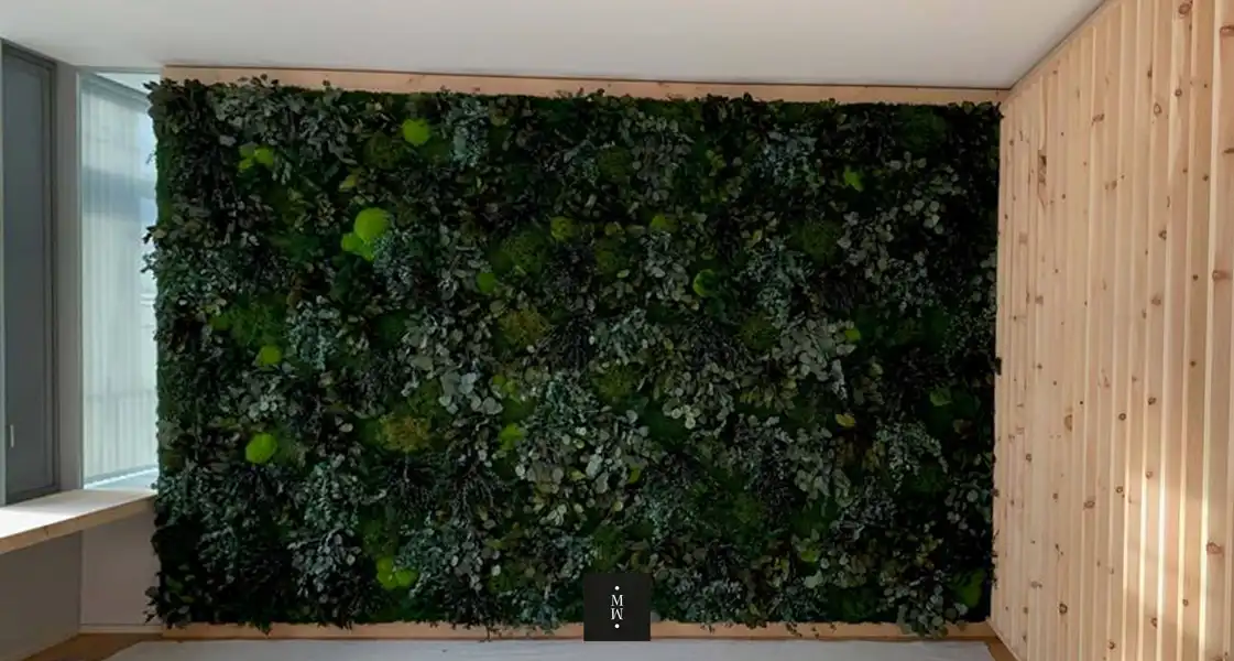 a wall of plants on a wall