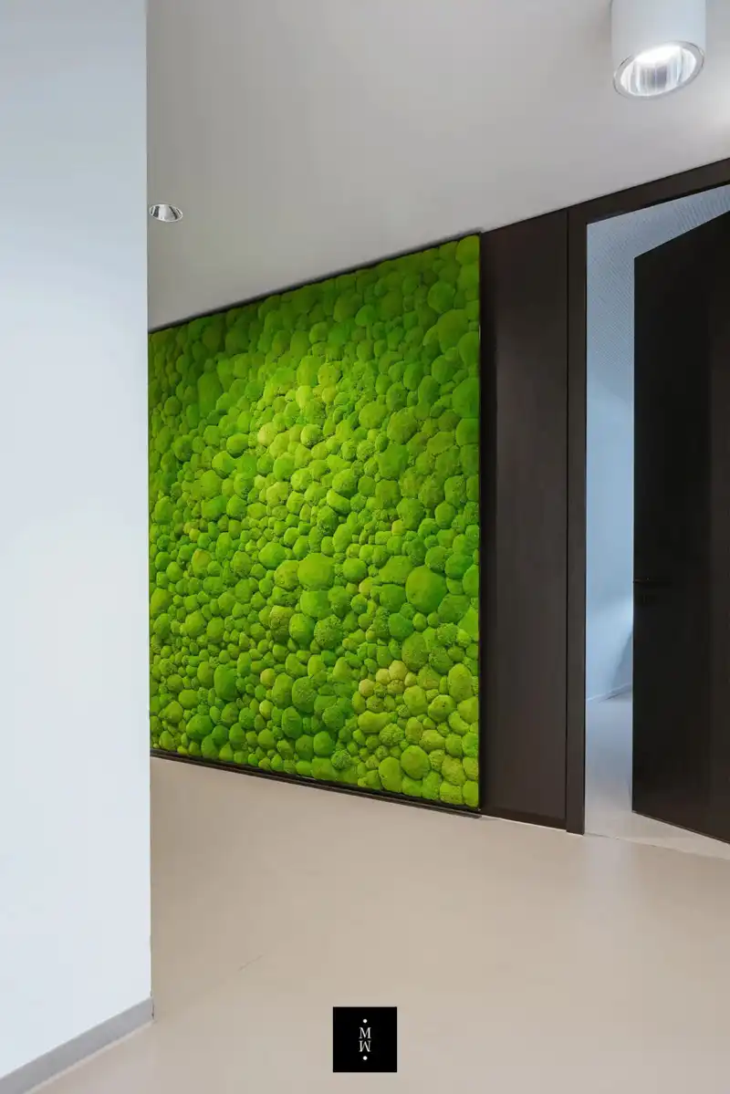 a green wall with a black frame