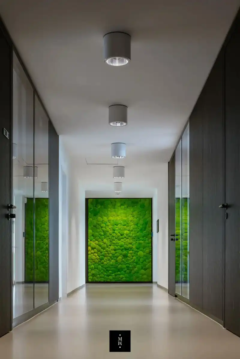 a hallway with green wall and glass doors