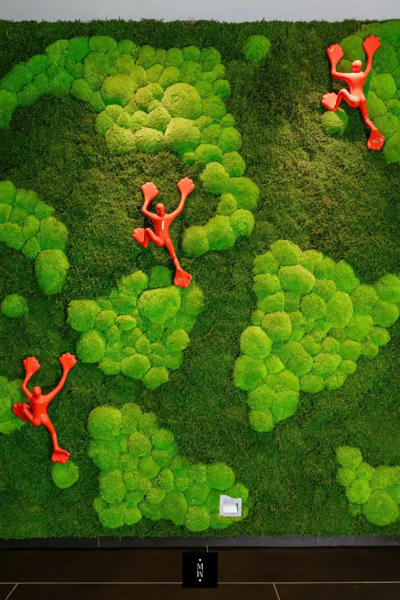 a green grass with red figures