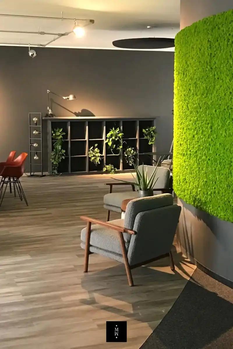 a room with chairs and a green wall