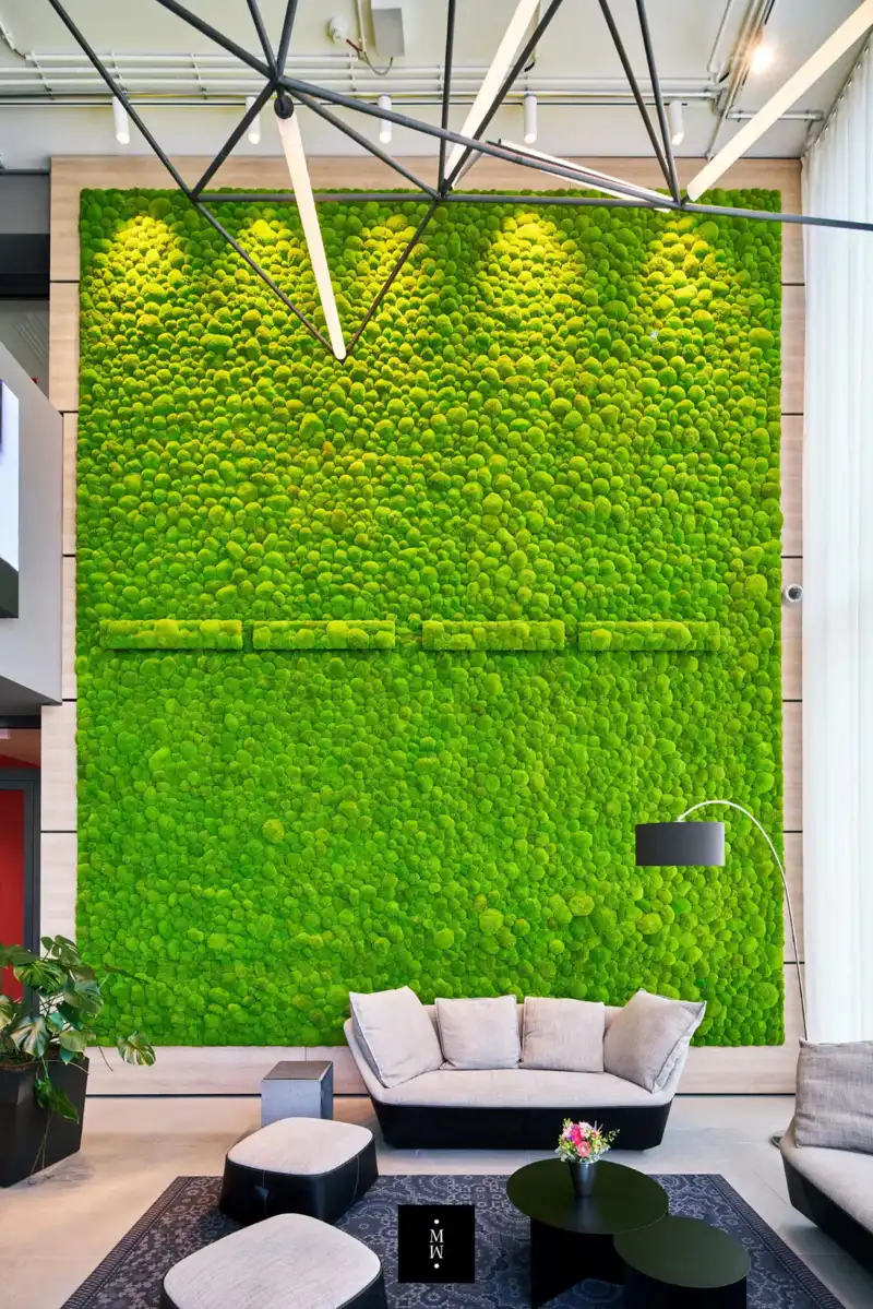 a green wall with a couch and a lamp