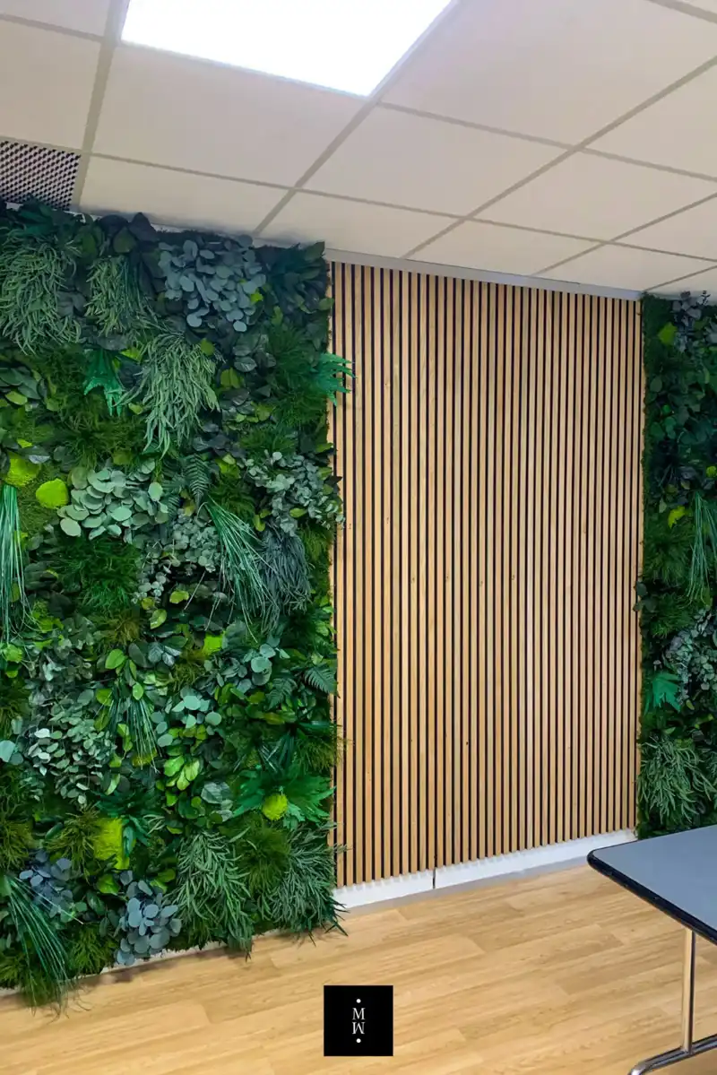 a wall with plants on it