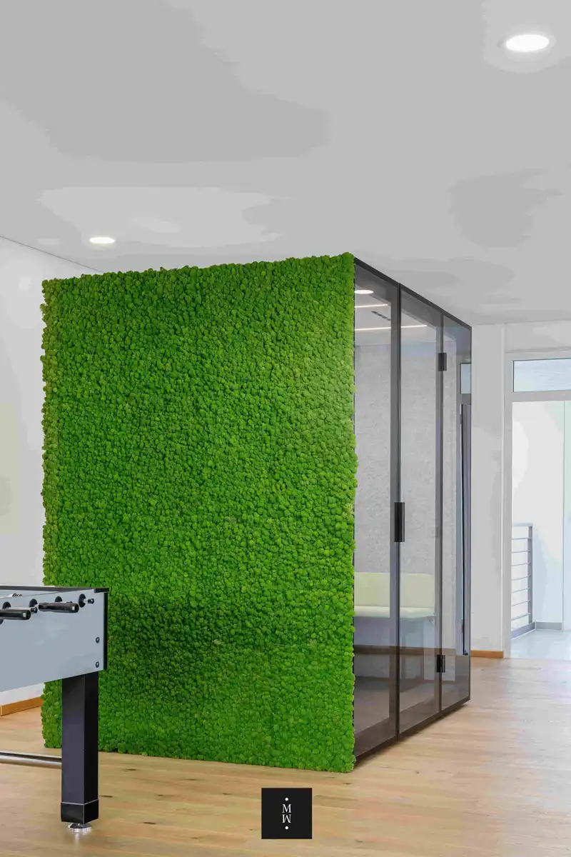 a green wall in a room
