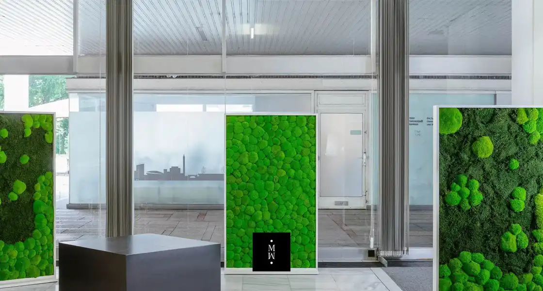 a green wall with a black sign in front of a glass door