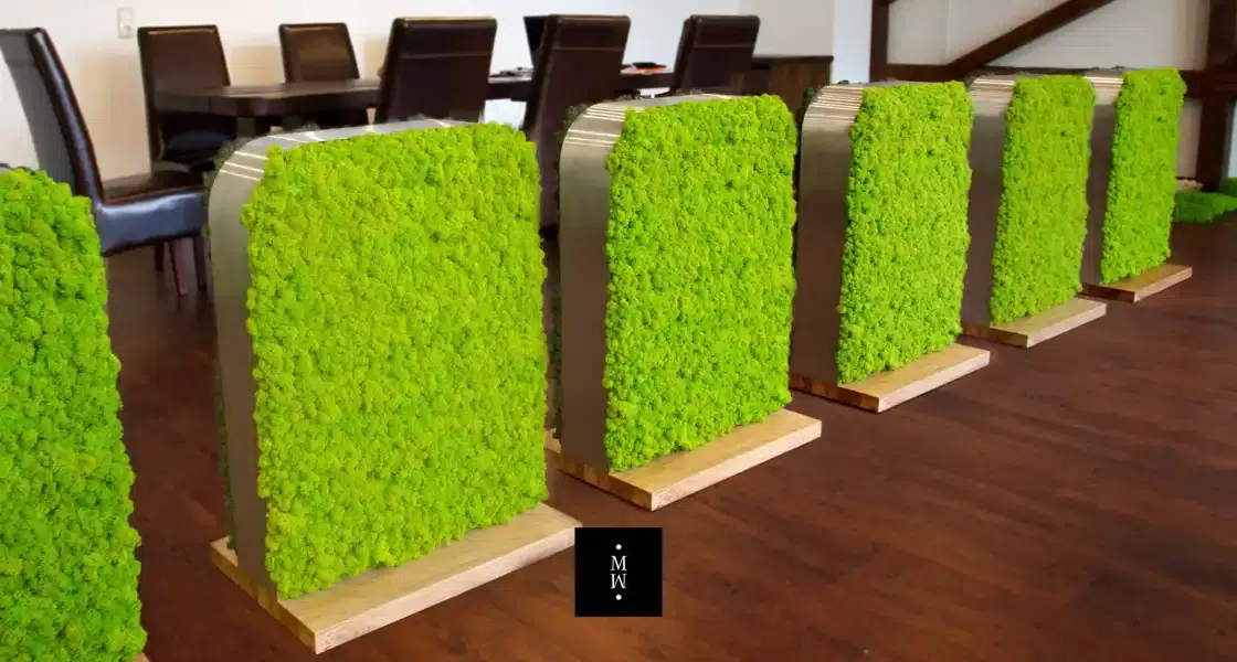 a group of green plants on a wooden surface