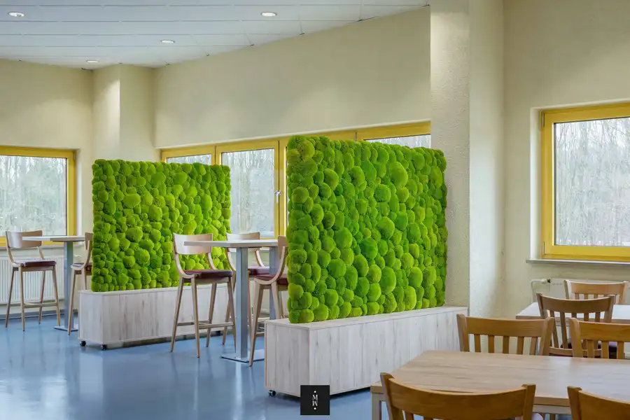 a room with a green wall and chairs