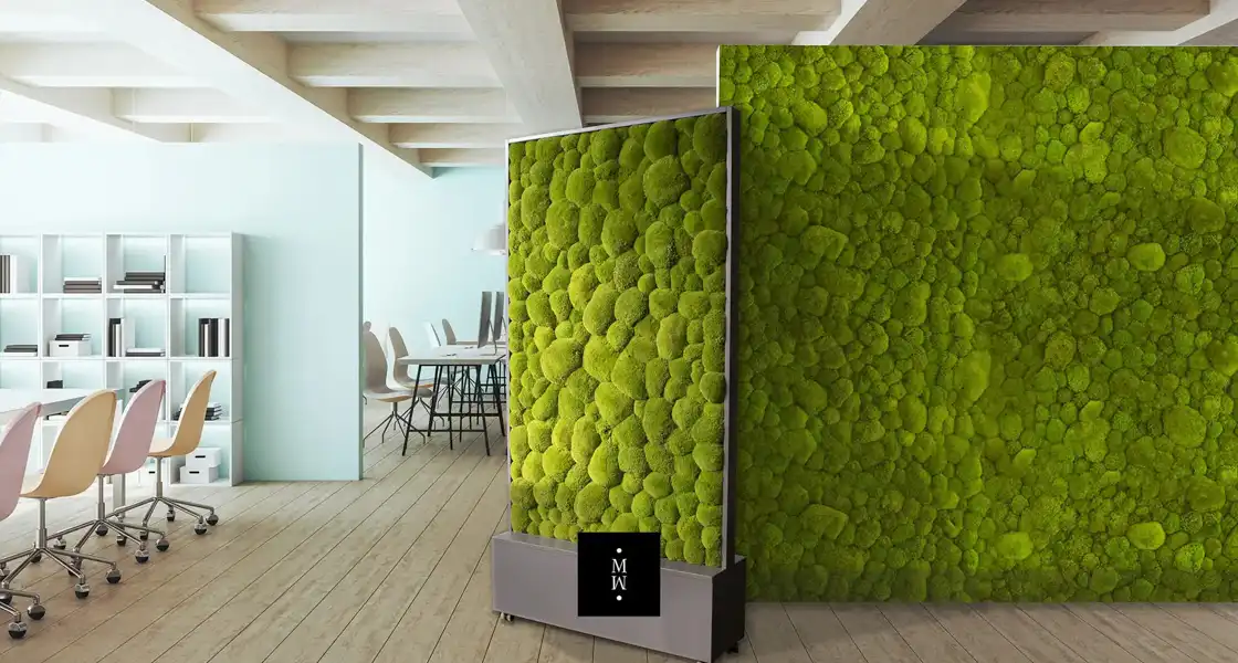 a green wall with a screen