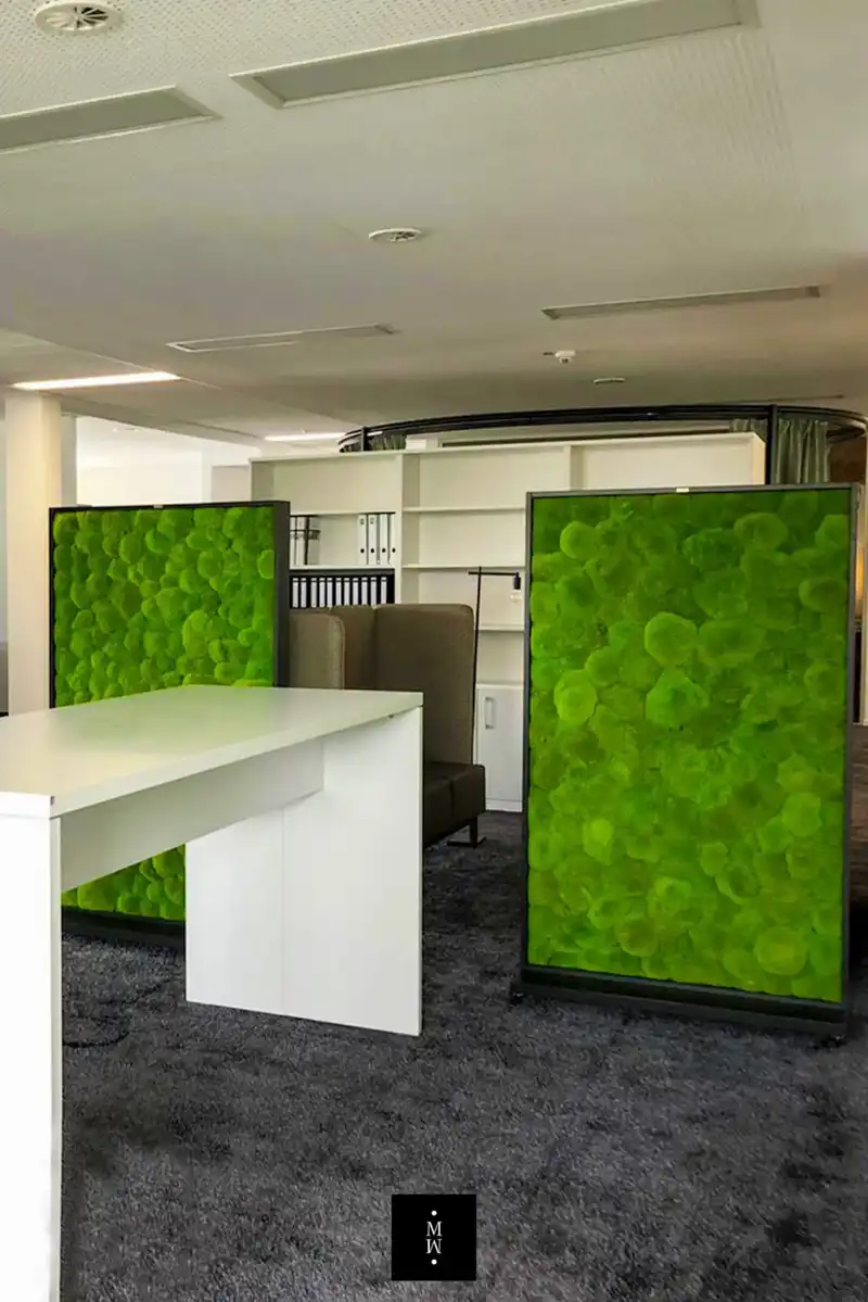 a green screen in a room