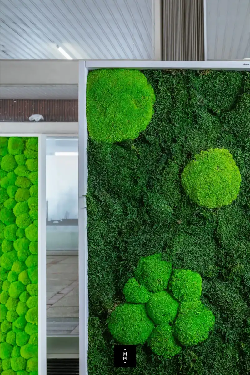 a green wall with moss