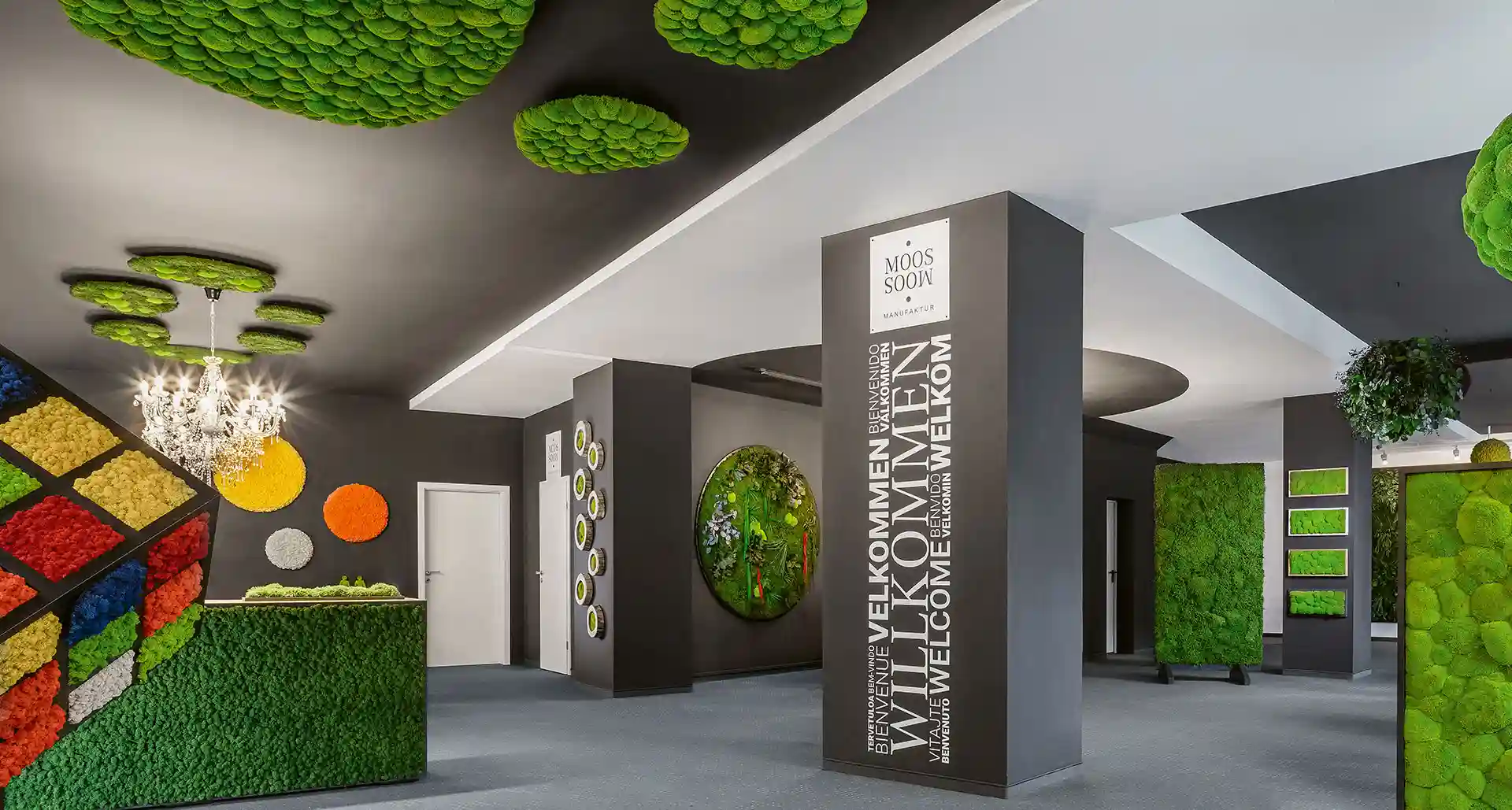 Moderner Showroom mit verschiedenen Mooswänden und einer dekorativen Moosdecke, kombiniert mit farbigen Moosbildern, verleiht dem Raum ein natürliches und kreatives Ambiente.