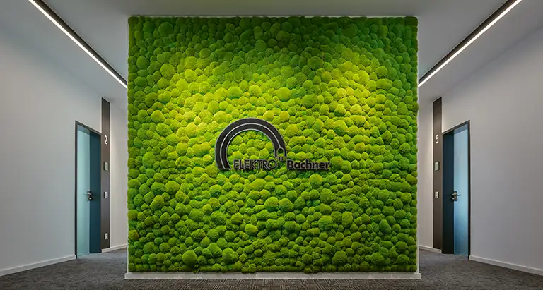 Grüne Wand aus Moos mit Firmenlogo bei Bachner Elektro GmbH, realisiert von moosmoos