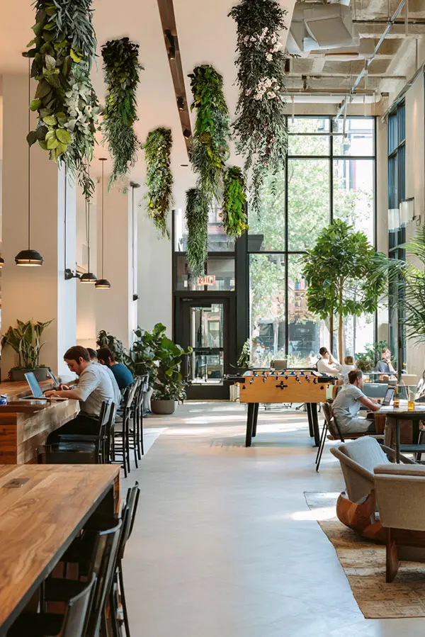 Stilvolle hängende Decke aus Moos im modernen Coworking Space, nachhaltiges MoosMoos Design.