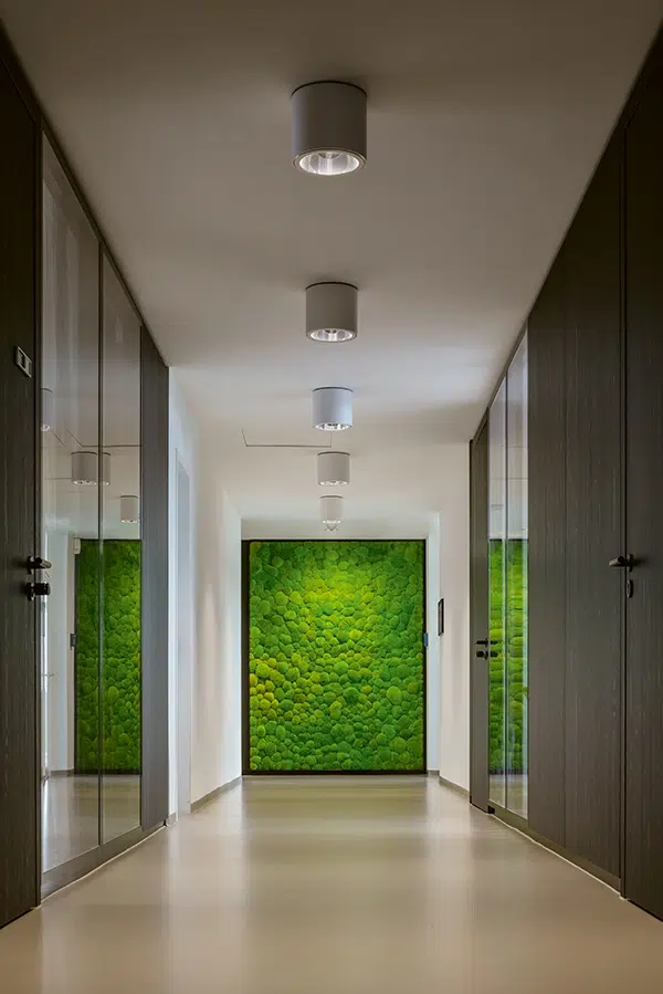 Moderner Büroflur mit Glastüren und eindrucksvoller Wand aus Ballenmoos von MoosMoos am Ende des Ganges, nachhaltige Innenarchitektur