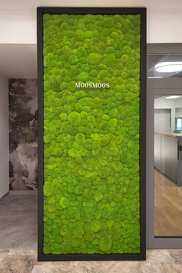 Hochwertige MoosMoos Wand aus Ballenmoos als vertikale Wandgestaltung – natürliche Akustiklösung und Blickfang für Innenräume.