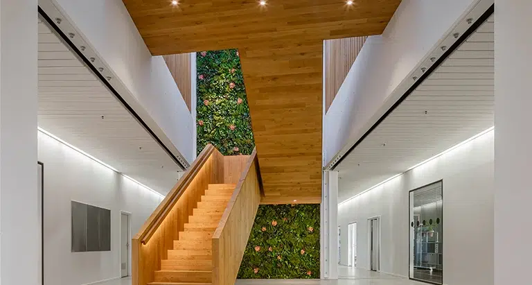 Eingangsbereich mit moderner Holztreppe und hoher Wand aus Moos mit Pflanzen und Blumen von MoosMoos, stilvolle Naturgestaltung für repräsentative Räume