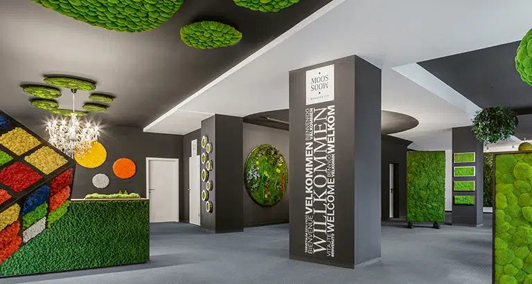 Showroom mit Wand aus Moos und Decke aus Moosmoos – kreative Naturgestaltung im Innenraum