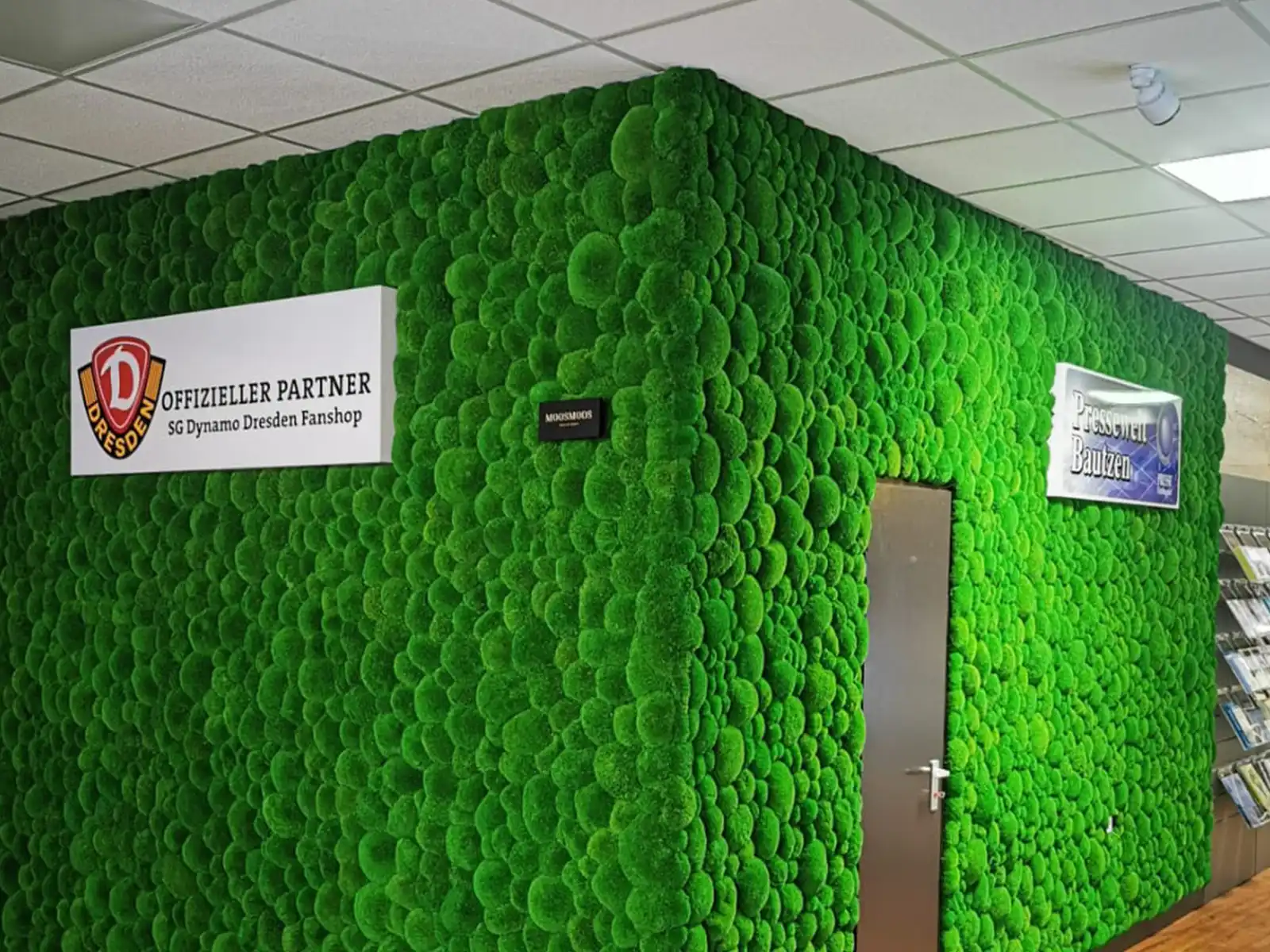 Fertige Premium Ballenmoos Mooswand in leuchtendem Grün im Presse Shop Bautzen, Dynamo Dresden Fanshop - hochwertige Akustikmoos Installation von MOOSMOOS