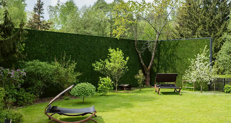 Privatgarten mit Greenovation Mooswand als Sichtschutz – nachhaltige Waldmoos Begrünung