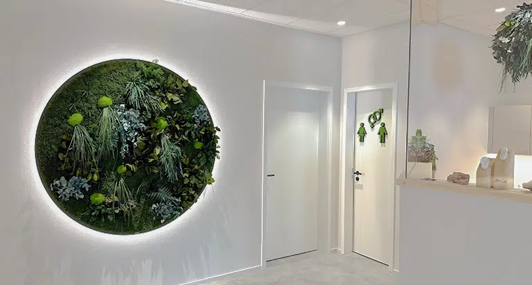 Rundes beleuchtetes Moosbild an weißer Wand als modernes Designelement