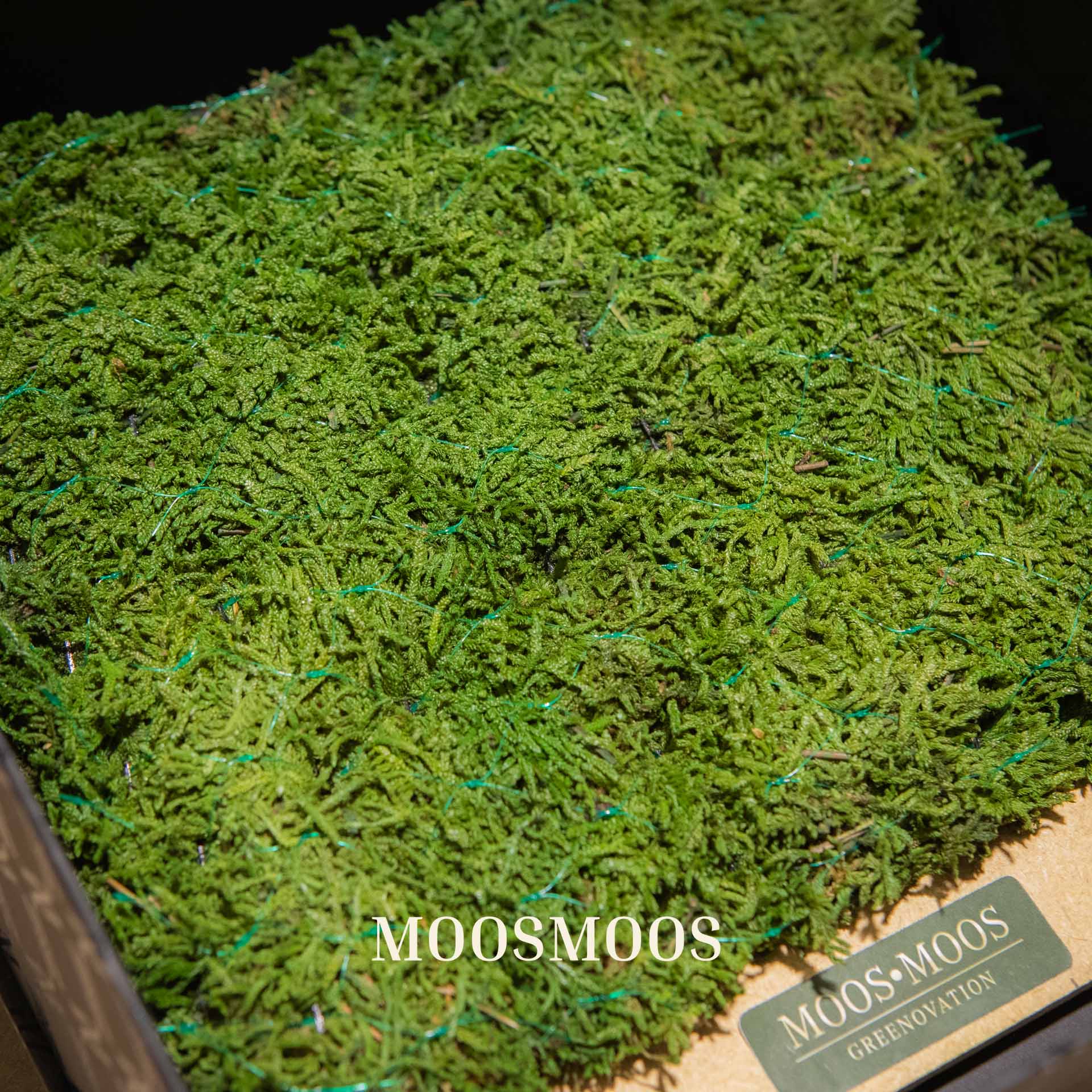 The Greenovation Sample box for green facades