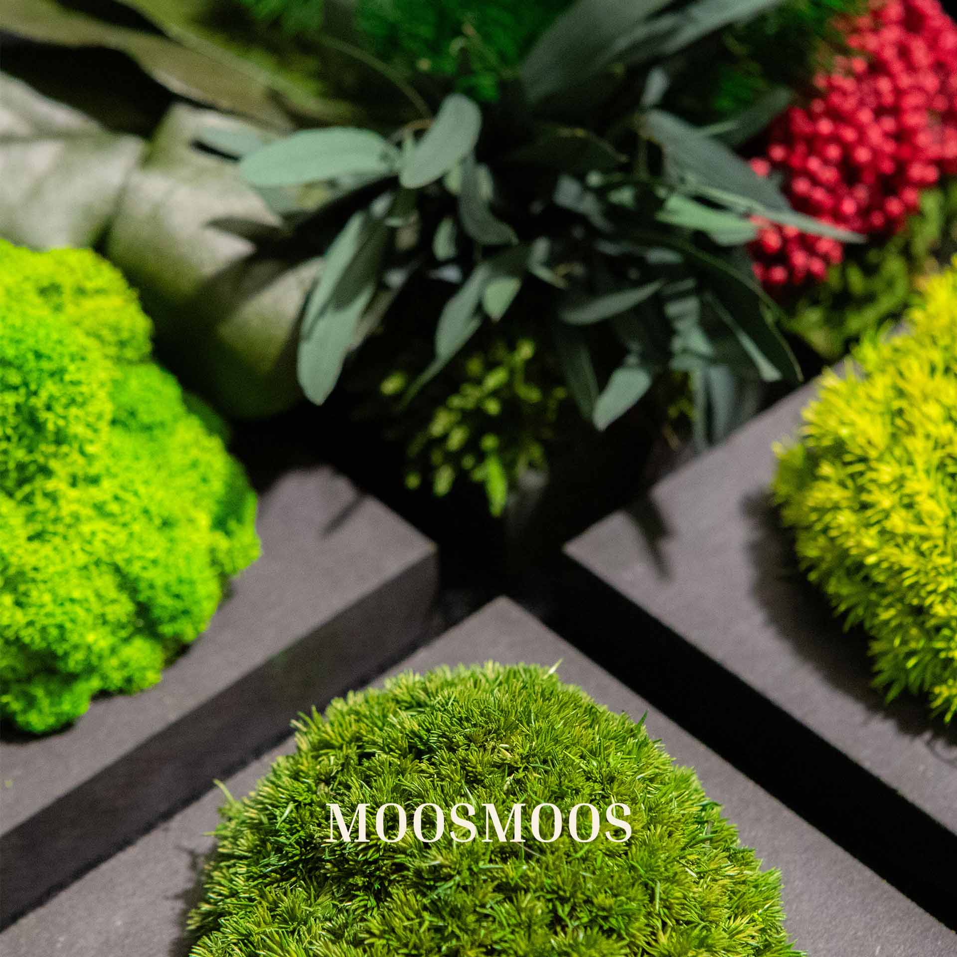 The full contents of the MOOSMOOS sample box, including moss patterns and the catalogue